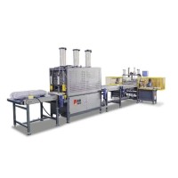 Линия для скрутки и вакуумной упаковки подушек NG-01R
