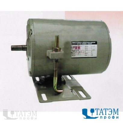 FSM Индукционный мотор