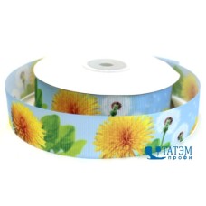 Лента декоративная репсовая 25 мм 