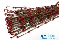 Веточки декор. 40 см с почками, коричневый/красный, уп. 100 шт